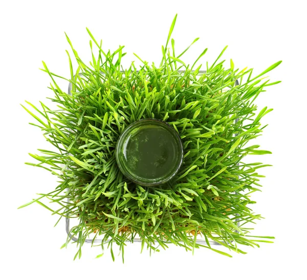 Shot of drink in wheat grass — Stock Photo, Image