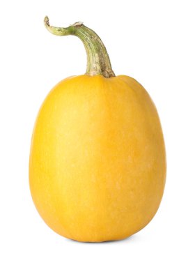 Olgun spagetti squash 