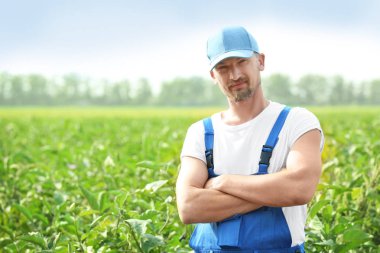 Erkek çiftçi alanında daimi