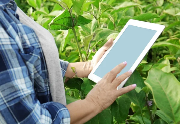 Agricultor feminino com computador tablet em campo — Fotografia de Stock