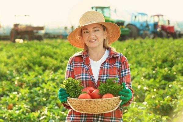 Agricultora sosteniendo canasta de mimbre con verduras en el campo —  Fotos de Stock