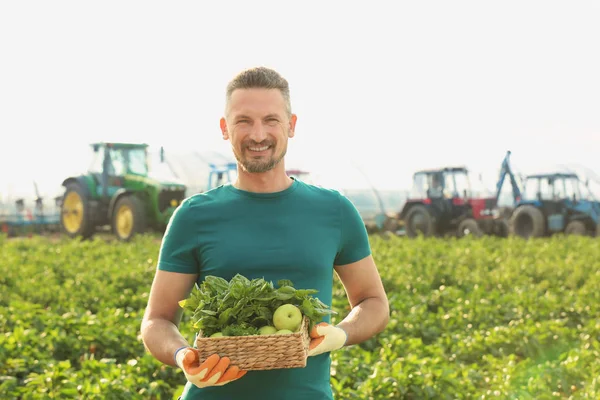 Bauer hält Weidenkorb mit Kräutern und Äpfeln auf dem Feld — Stockfoto