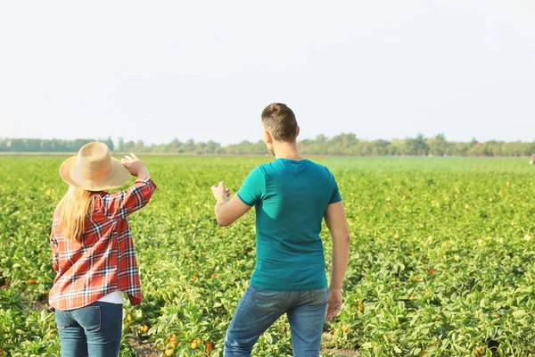 Zwei Bauern stehen an sonnigem Tag auf dem Feld — Stockfoto