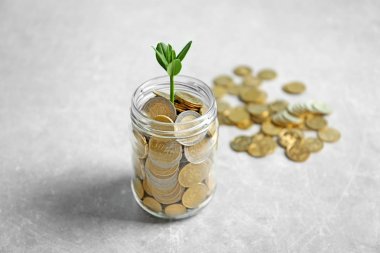 Cam paralar ile gri arka plan üzerinde büyüyen bitki. Yatırım kavramı