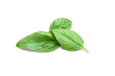 organik taze fesleğen