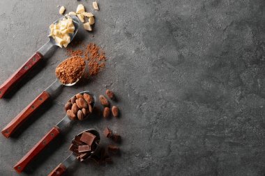 Kaşık farklı kakao ürünleri ile 