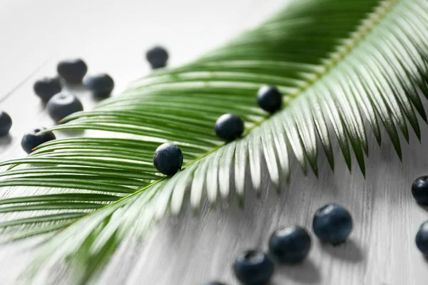 Bayas de acai frescas y hojas de palma —  Fotos de Stock