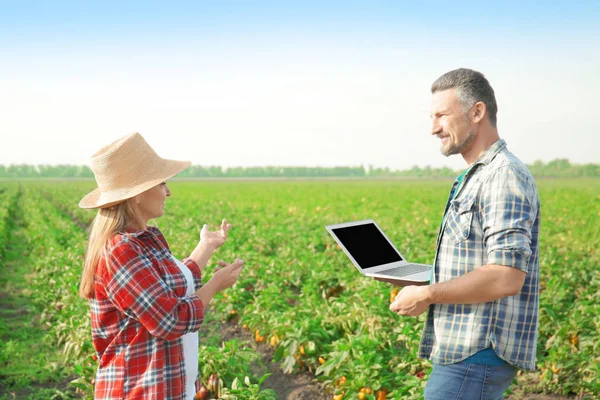 Dois agricultores com laptop em campo — Fotografia de Stock