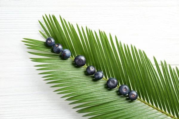 Fresh acai berries and palm leaf — Stock Photo, Image