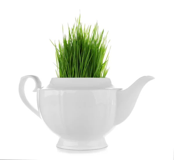 Green wheat grass in teapot — Stock Photo, Image