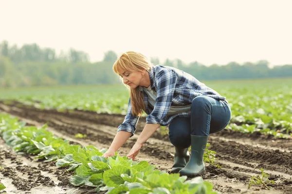 Exploitante agricole travaillant dans le champ — Photo