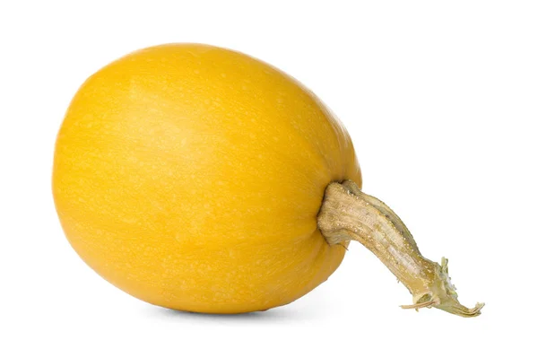 Ripe spaghetti squash — Stock Photo, Image