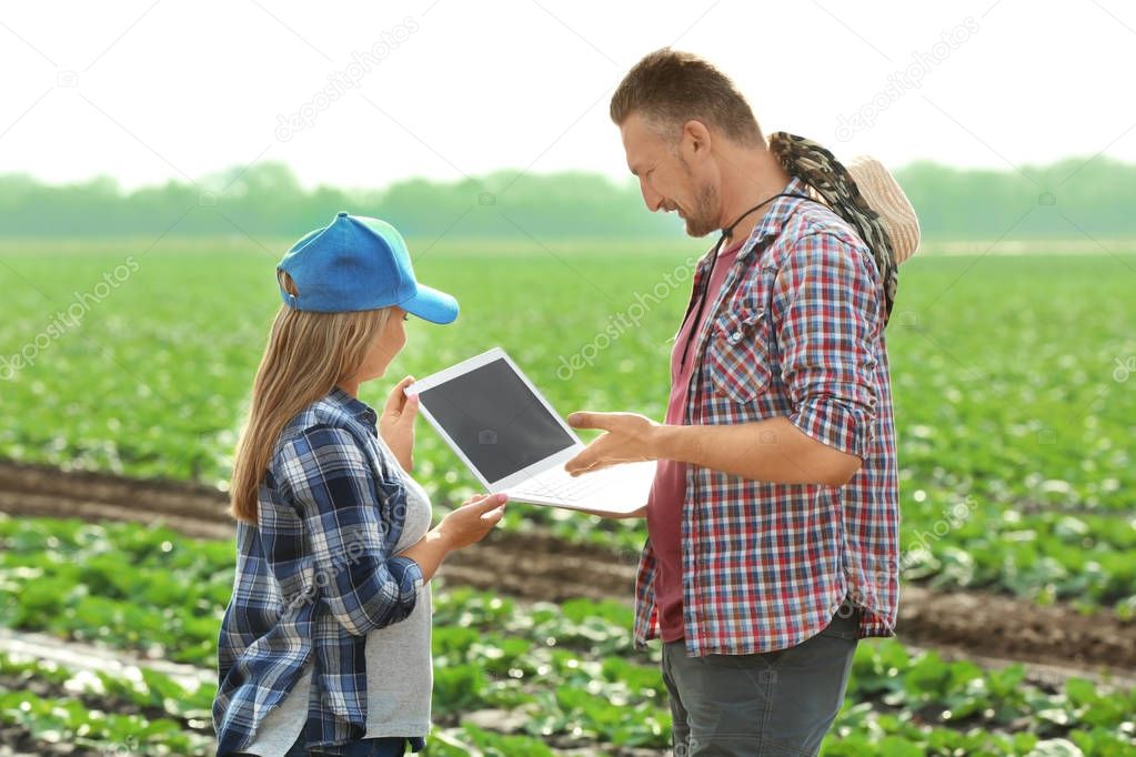 Two farmers with laptop in field