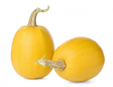 Olgun spagetti squashes 