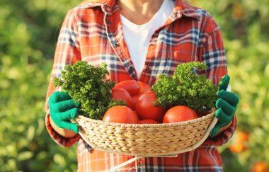 Kadın çiftçi sebze ile hasır sepet holding