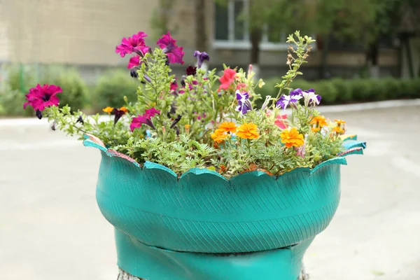 IRE används som blomsterrabatt — Stockfoto