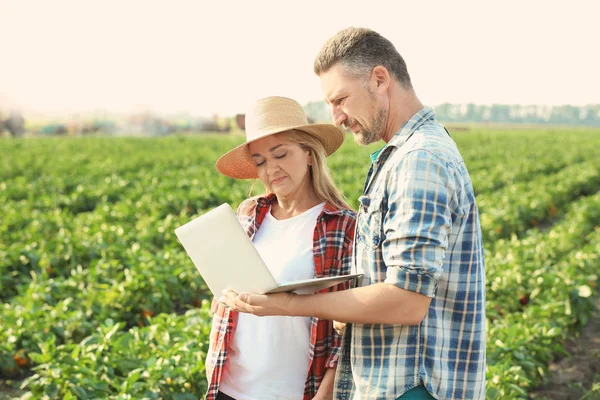 Zwei Bauern mit Laptop im Feld — Stockfoto