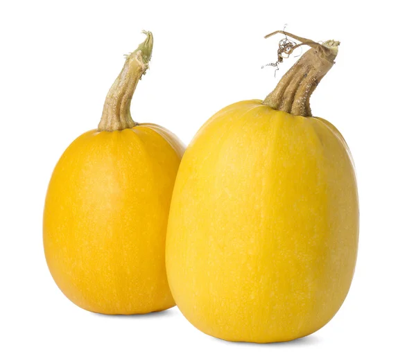 Ripe spaghetti squashes — Stock Photo, Image