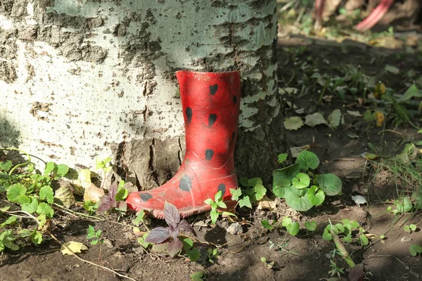 Ancienne botte utilisée comme décor de jardin à l'extérieur — Photo