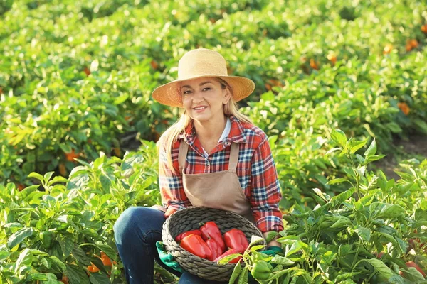 Agricultora que trabalha no terreno — Fotografia de Stock
