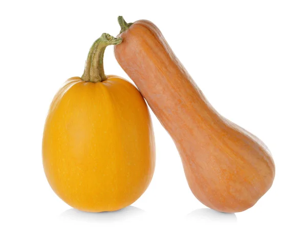 Ripe spaghetti squash and pumpkin — Stock Photo, Image