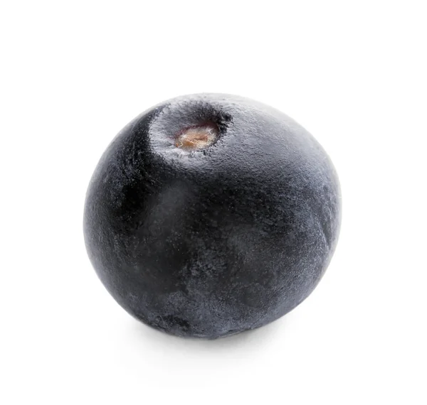 Fresh acai berry — Stock Photo, Image