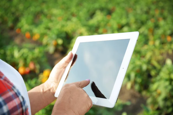 Female farmer with tablet computer in field, closeup — Stock Photo, Image