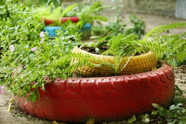 Neumáticos utilizados como macizo de flores — Foto de Stock