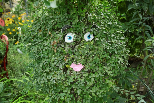 Zabawny bush z twarzą w ogrodzie — Zdjęcie stockowe