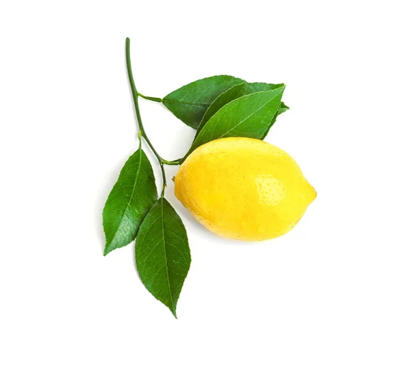 Ripe yellow lemon — Stock Photo, Image