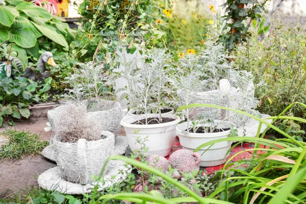 Copas de mimbre y macetas utilizadas como decoración de jardín al aire libre — Foto de Stock