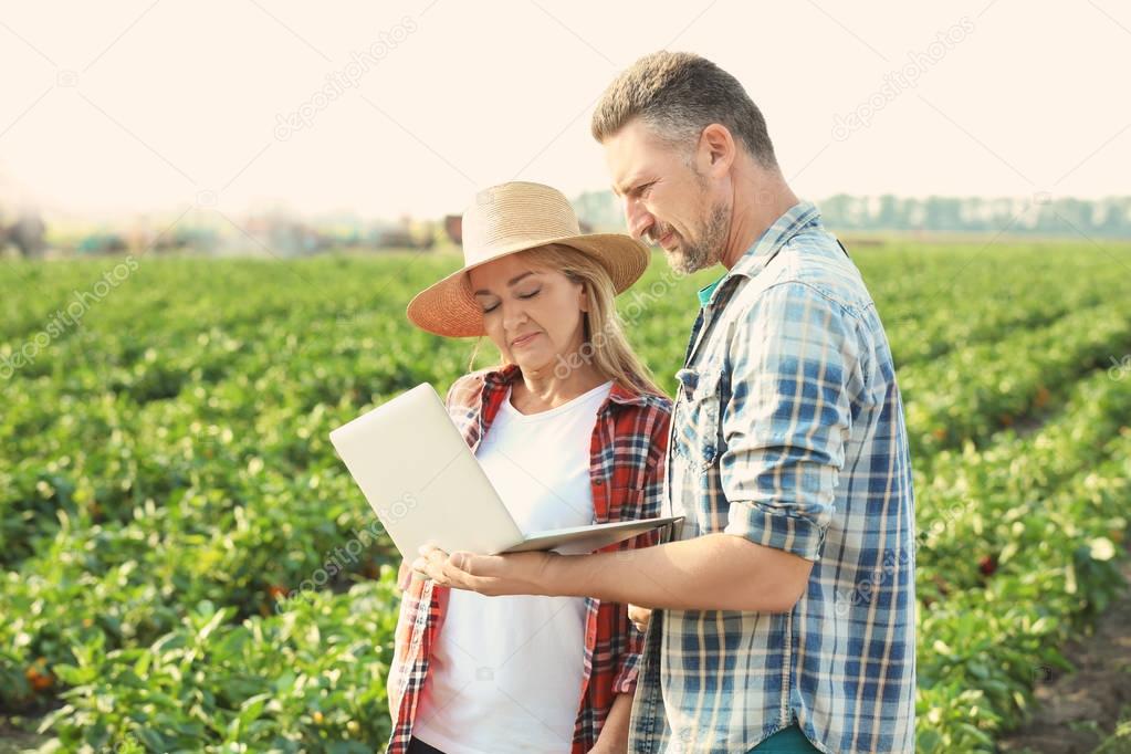 Two farmers with laptop in field