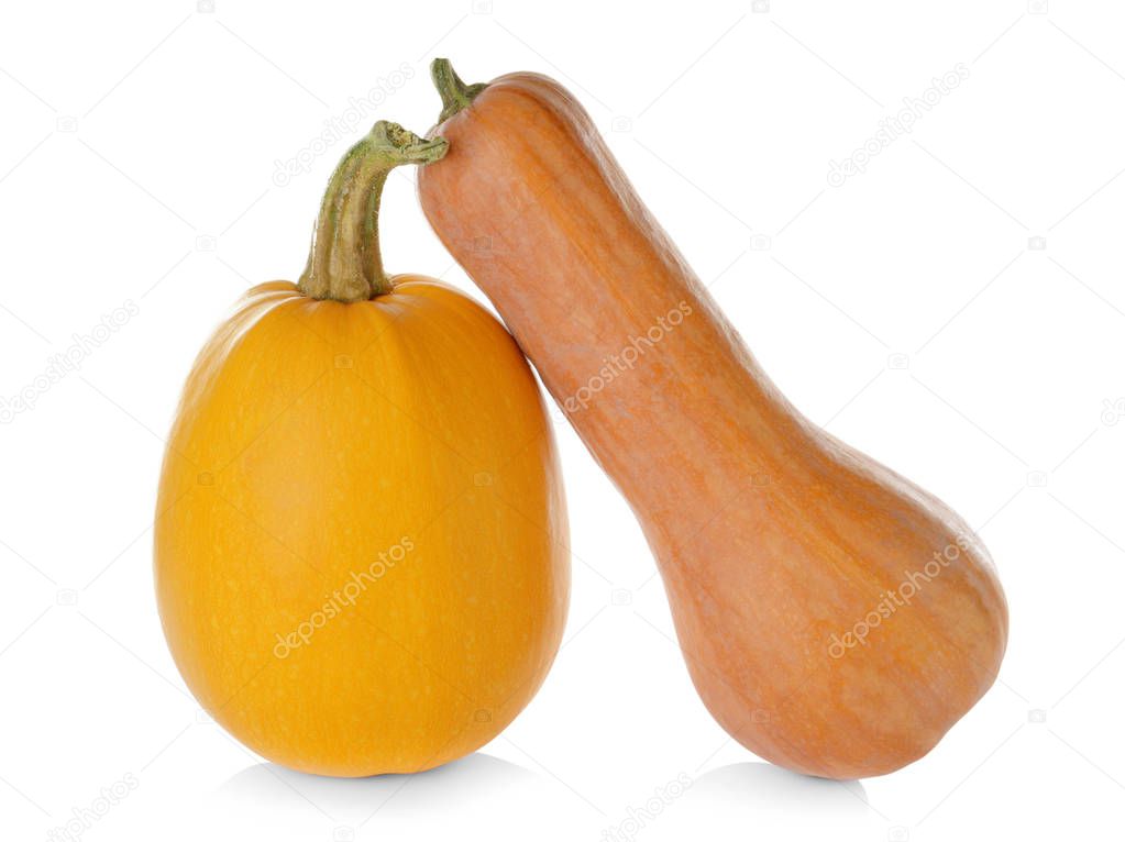 Ripe spaghetti squash and pumpkin