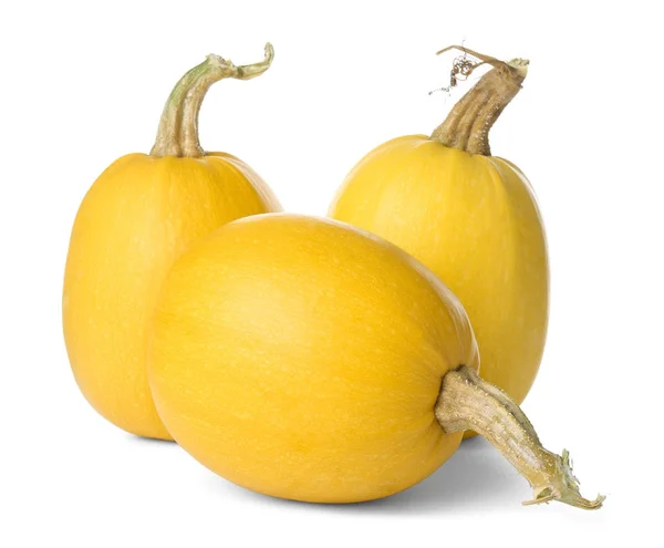 Ripe spaghetti squashes — Stock Photo, Image