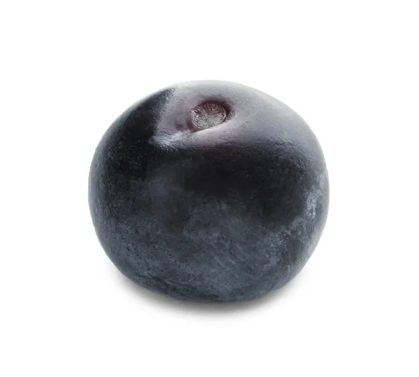Färsk acai berry — Stockfoto