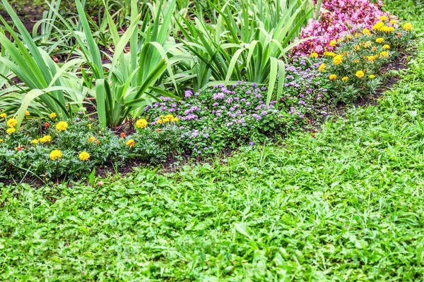 Güzel bir flowerbed park manzarası — Stok fotoğraf