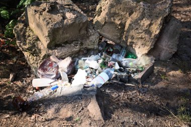 Çöp görünümünü bir ormanda
