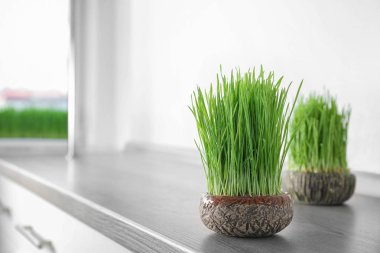 Tencere buğday çim üzerinde tablo ile