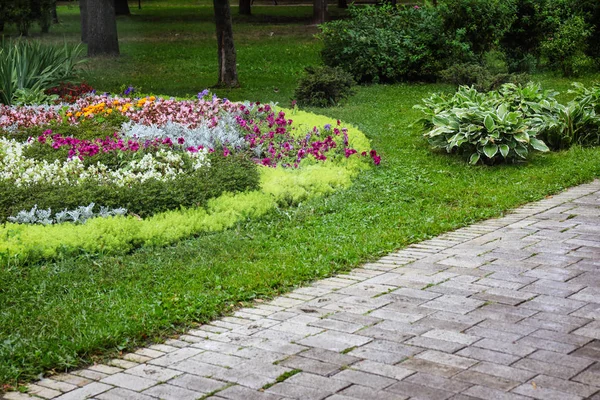 Beautiful view of flowerbed in park — Stock Photo, Image