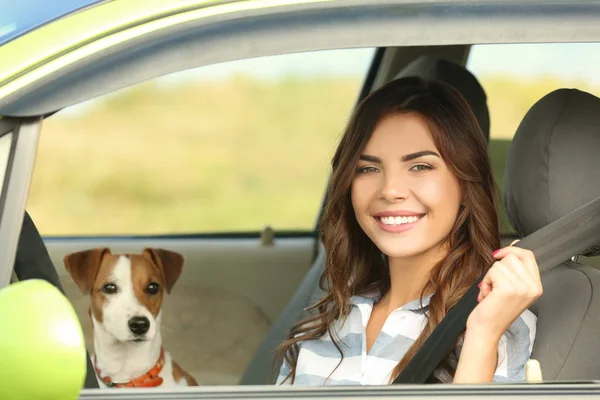 Young woman with cute dog — Stock Photo, Image