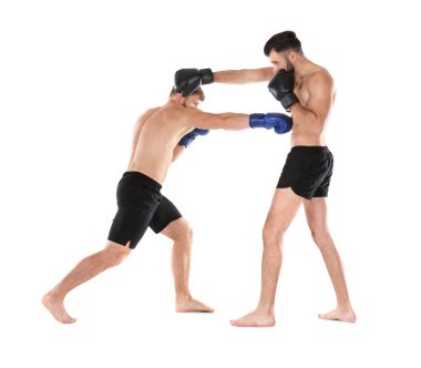 Erkek boksörler mücadele  