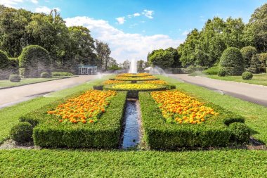 Güzel bir çiçek yeşil park manzarası