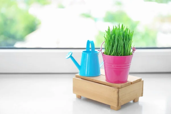 Cubo con hierba de trigo en el alféizar de ventana — Foto de Stock