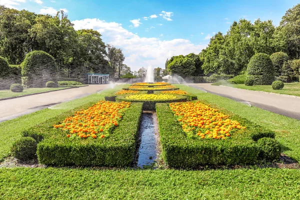 Güzel bir çiçek yeşil park manzarası