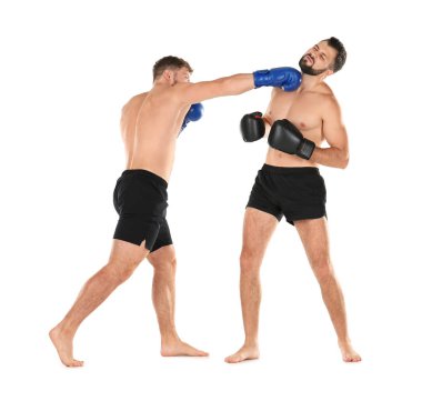 Erkek boksörler mücadele  