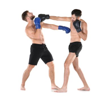 Erkek boksörler mücadele  