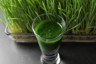 sağlıklı buğday çimen suyu