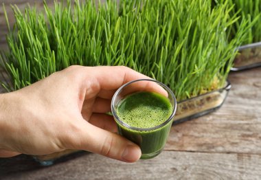 Genç adamın elini buğday çimen suyu çekim ile