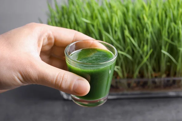 Hand of young man with shot of wheat grass juice — Stock Photo, Image