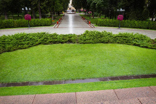 Belo parque verde — Fotografia de Stock